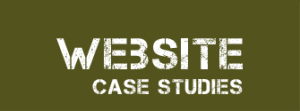 website case studies